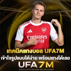 เทคนิคแทงบอล UFA7M เข้าใจรูปแบบได้ง่าย